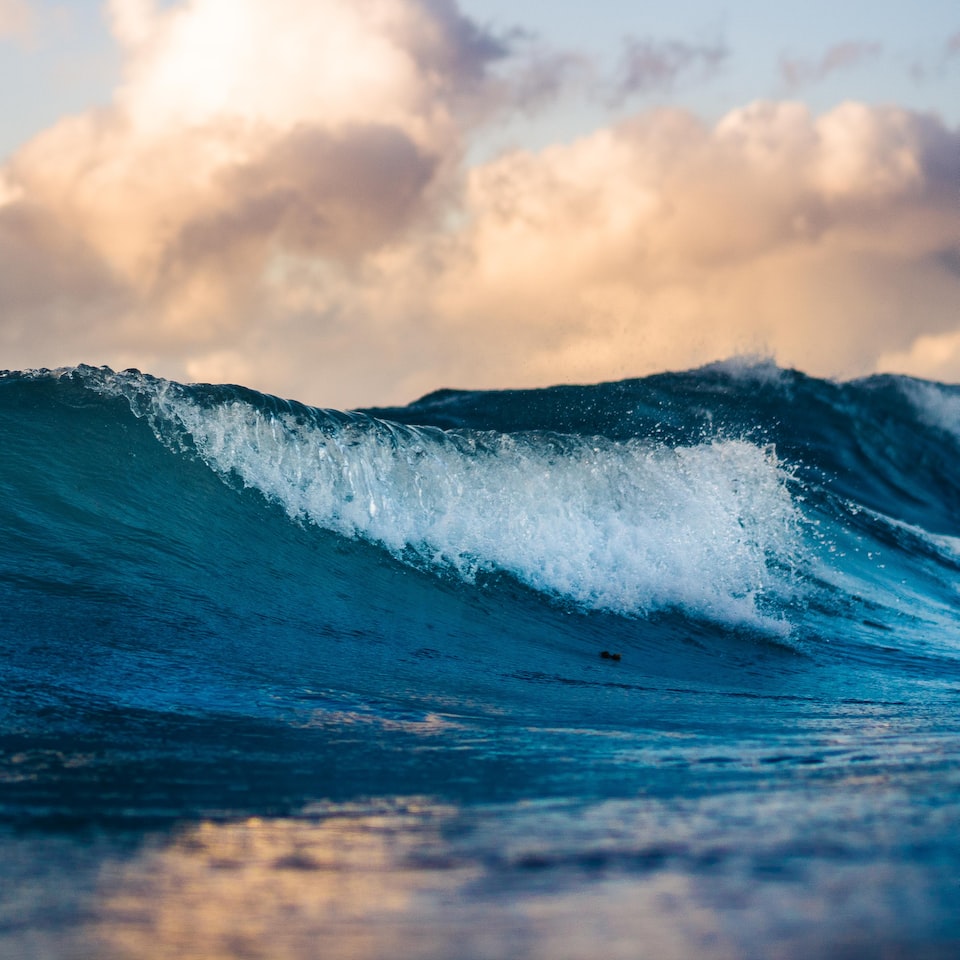 Album Water Moustache