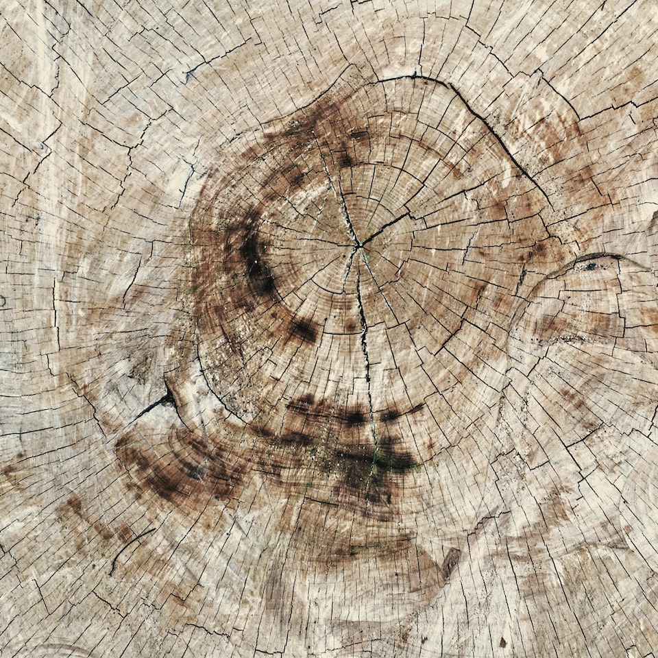 Download Natural Wood